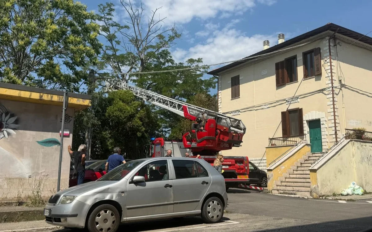 FOTO | Rami pericolanti in via Guido II a Teramo: sul posto i Vigili del Fuoco