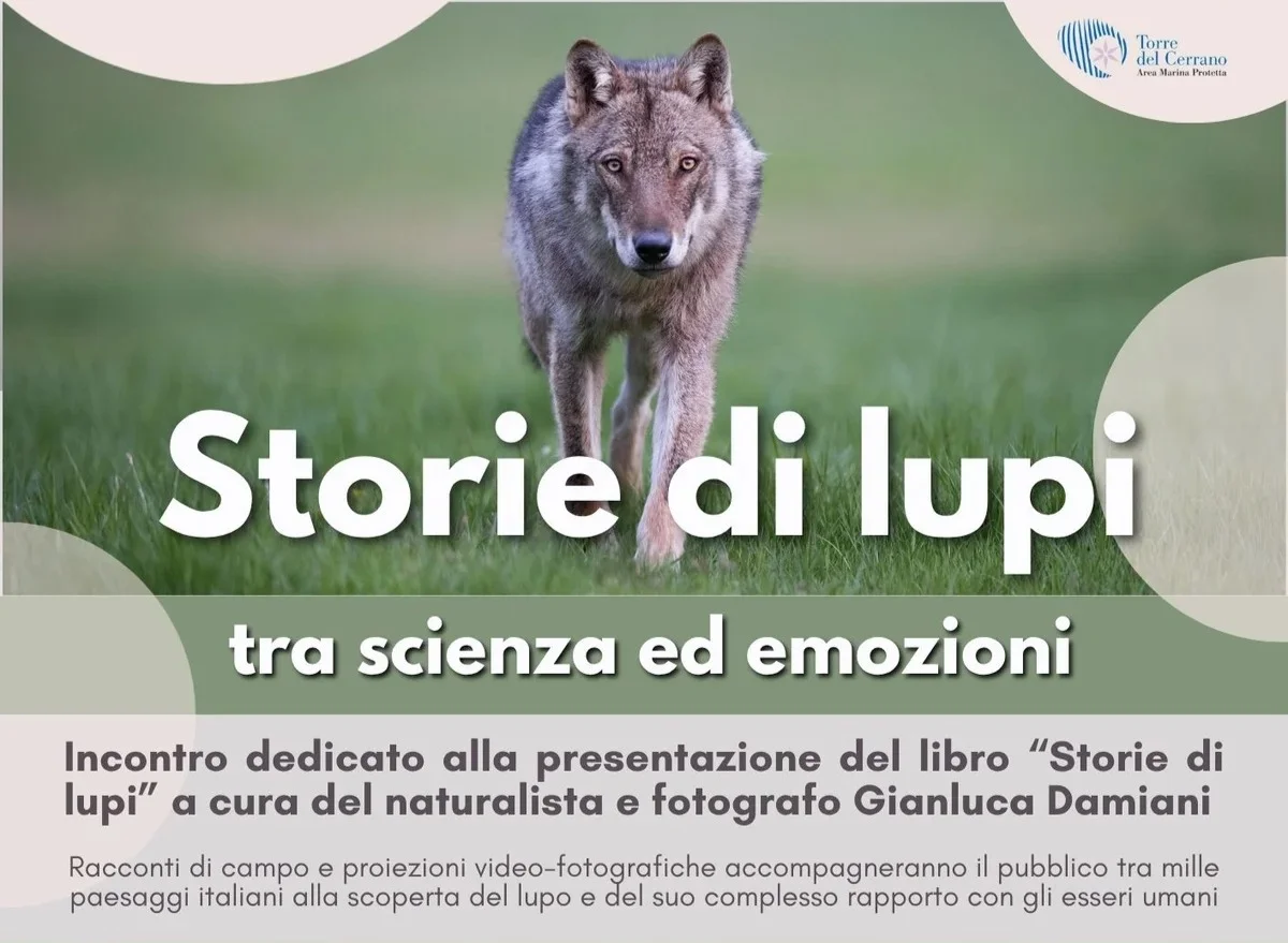Storie di lupi, a Pineto la presentazione del libro di Gianluca Damiani