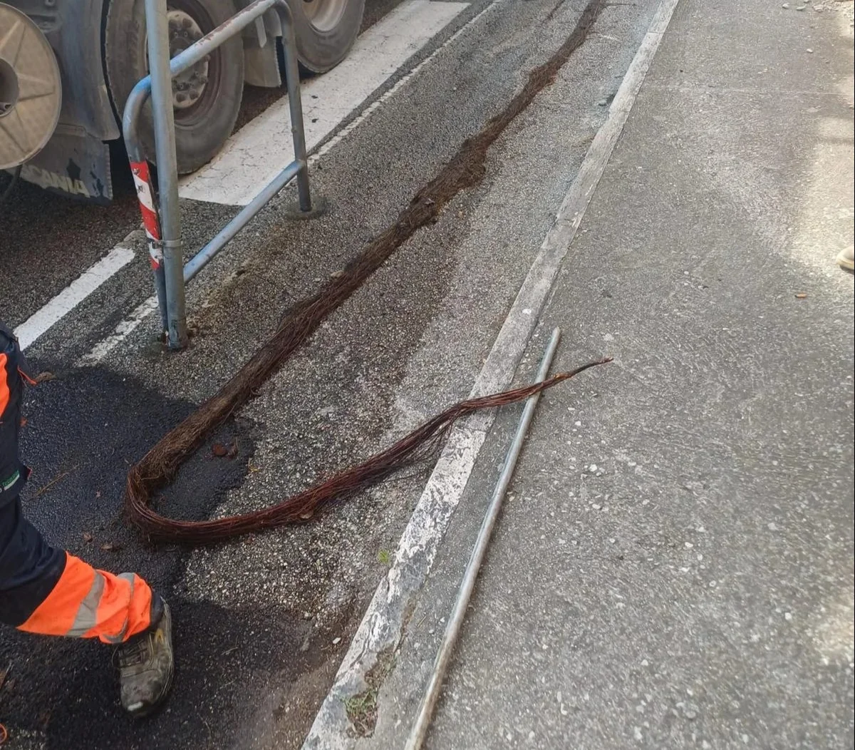 Acque reflue in strada da una caditoia: colpa di una grossa radice in via della Resistenza