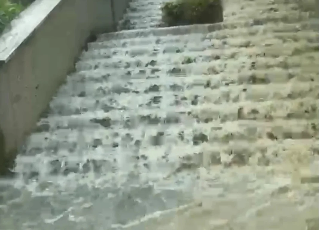 VIDEO | Maltempo, danni enormi all'agricoltura