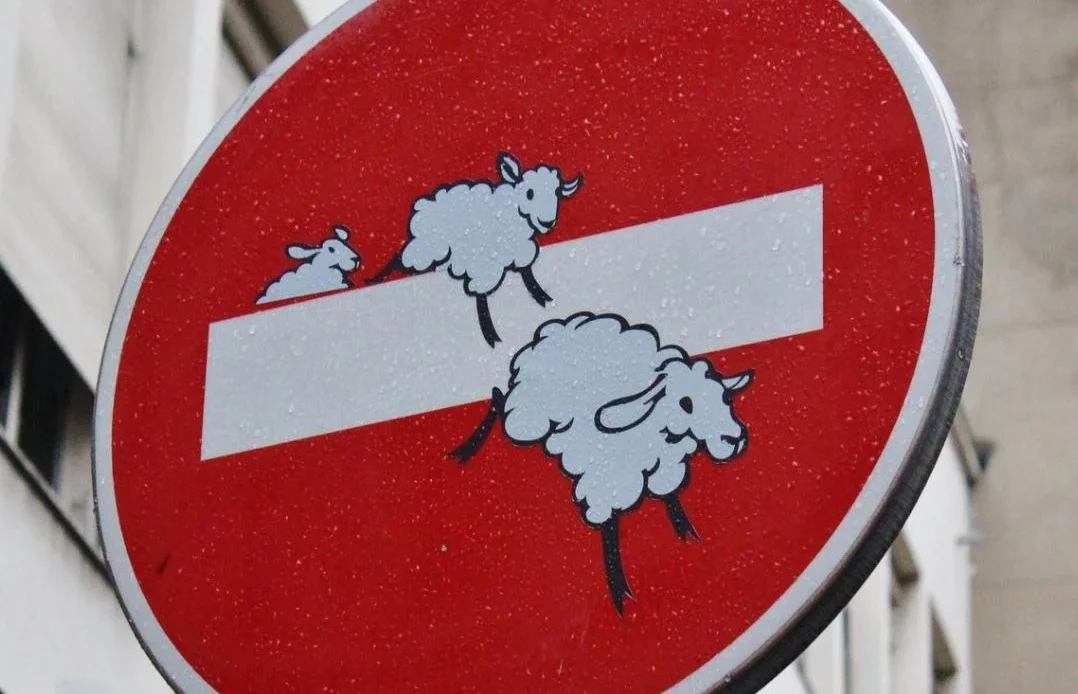FOTO | Da Macron a Pineto: mostra di Clet e dei suoi famosi cartelli stradali