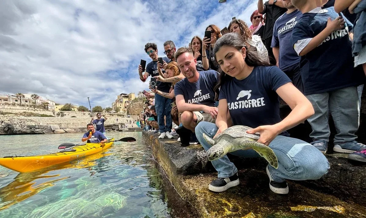 Turtle Day, anche il centro di recupero di Pescara libererà una tartaruga in mare