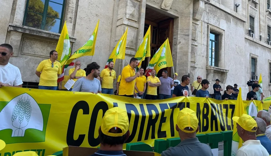 FOTO | No all'import selvaggio di olio e grano: gli agricoltori in piazza