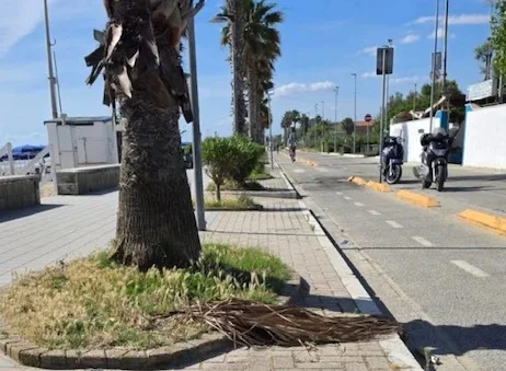 Degrado a Cologna Spiaggia, Romani (Lega) chiede interventi immediati
