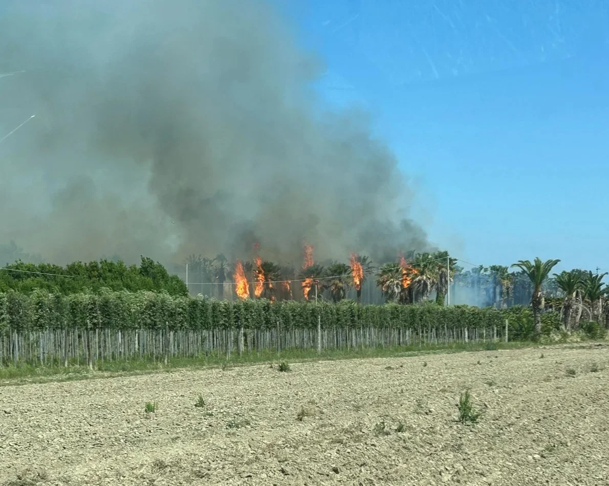 Incendi a Martinsicuro: mattinata da incubo con pesanti ritardi dei treni
