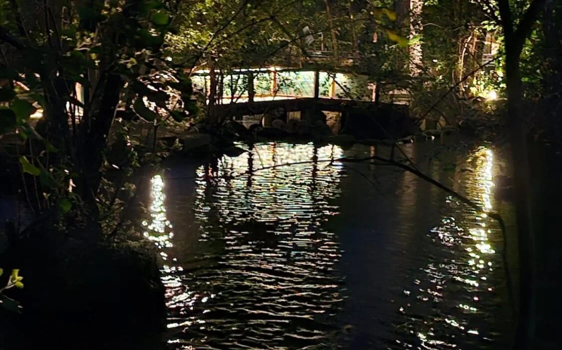 Villa Comunale senz'acqua e il Comune di Teramo diffida l'ARAP