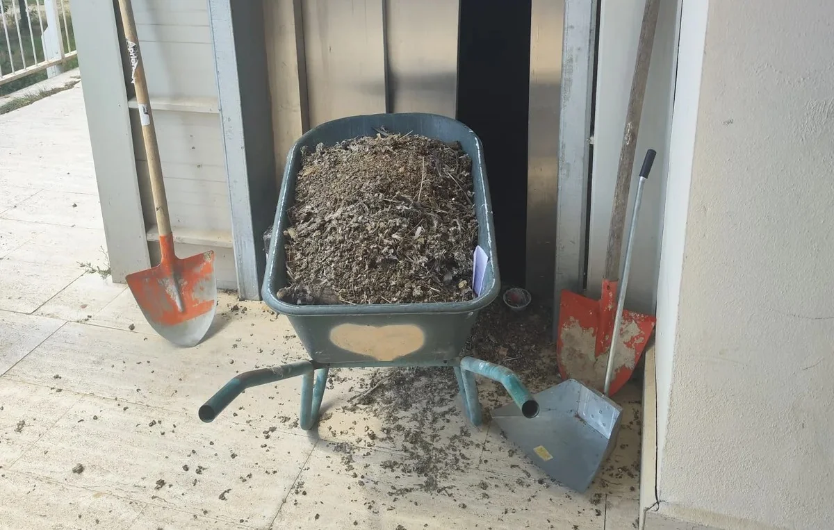 FOTO | Progetto CASE, il Comune de L'Aquila ha avviato gli interventi