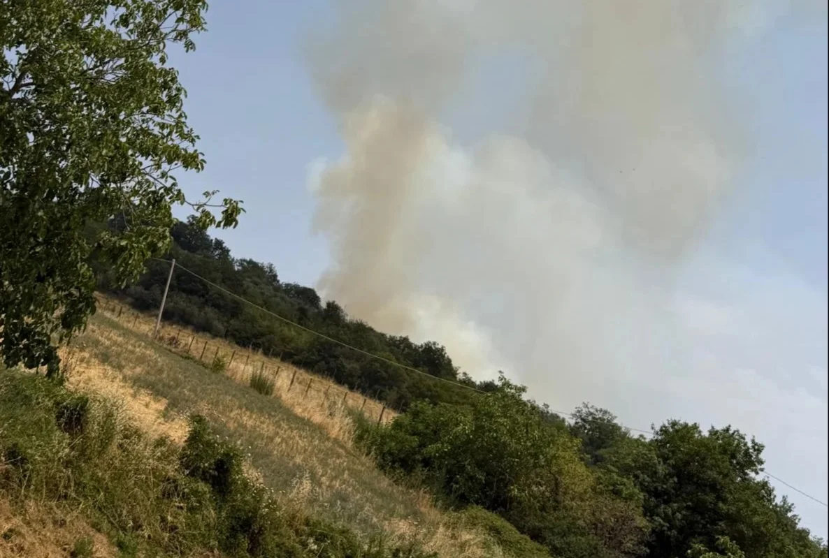 FOTO | Incendio di vegetazione e sterpaglie a Villa Ripa