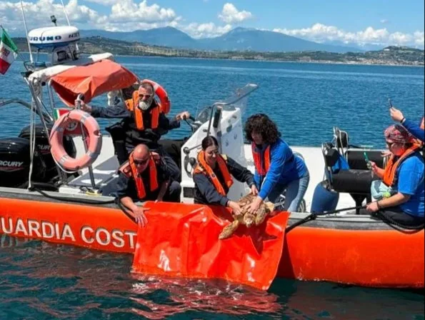 VIDEO | Guardia Costiera, la carica dei 900 studenti della provincia di Teramo... in mare!