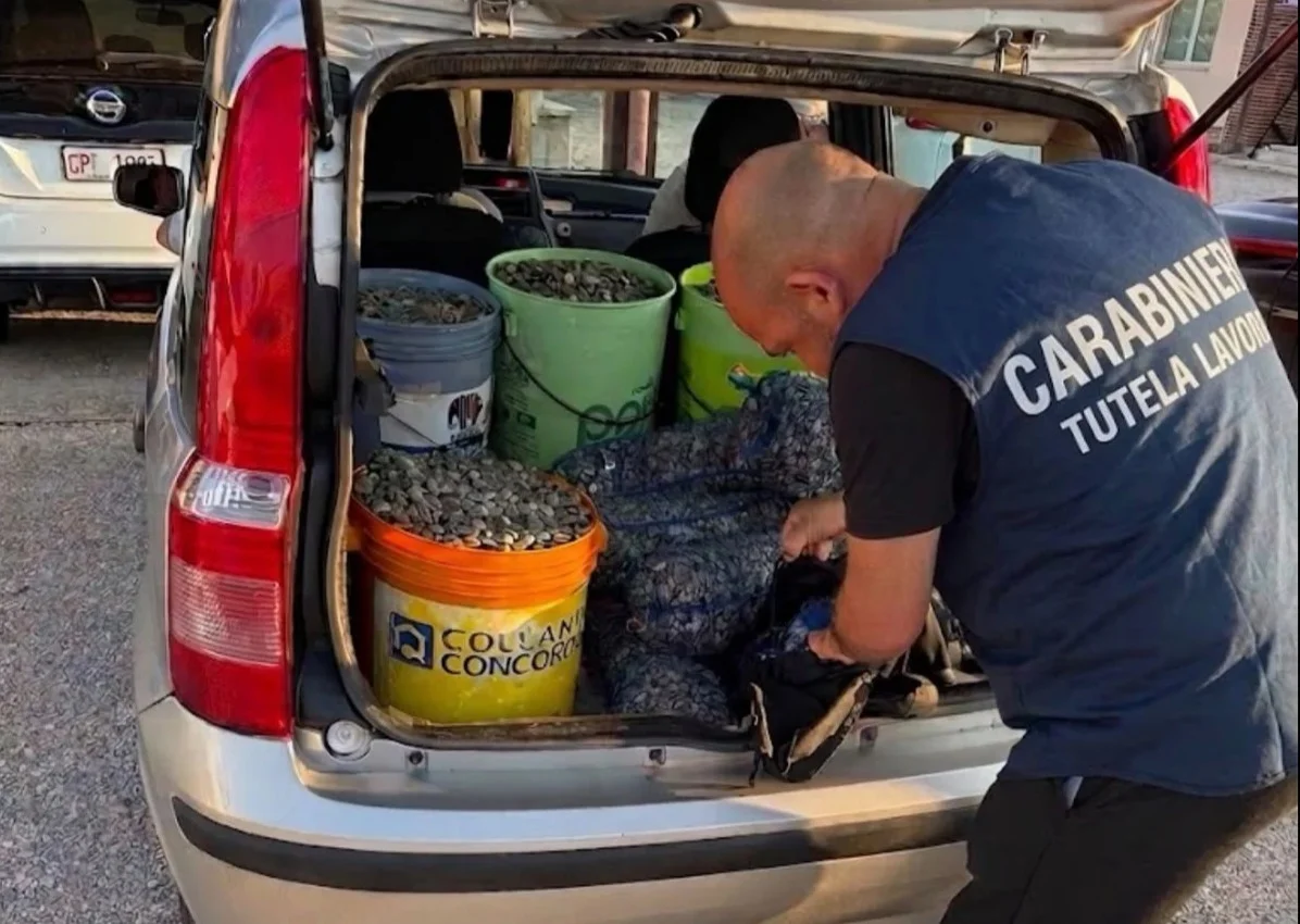 Giulianova: trasportavano irregolarmente 180 kg di vongole in 4 secchi