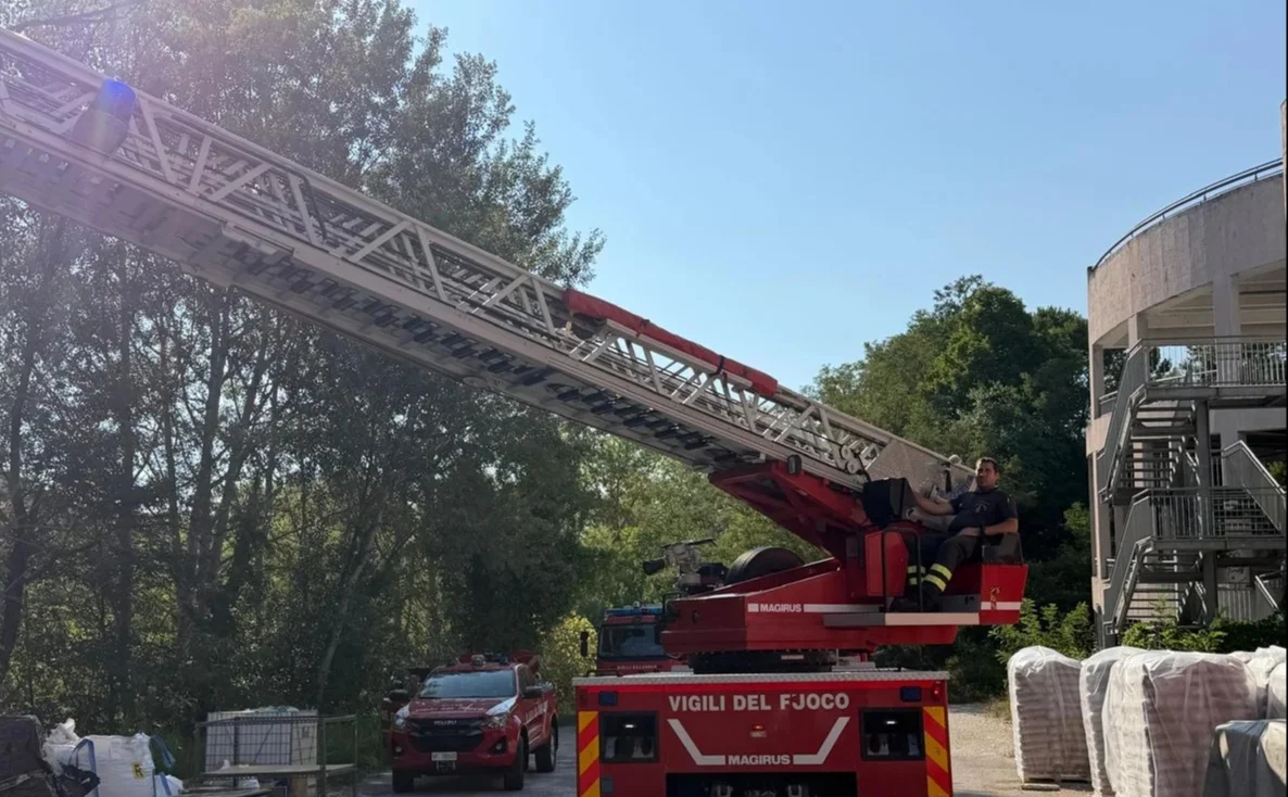 FOTO | Alberi pericolanti su via Maestri del lavoro a Teramo