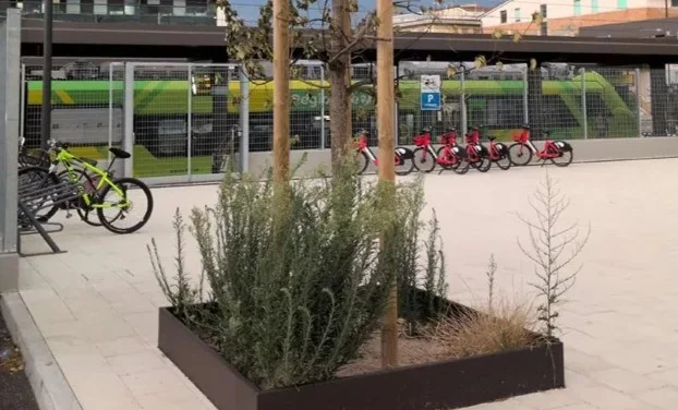 Stazione di Teramo, gli alberi appena piantati sono già secchi