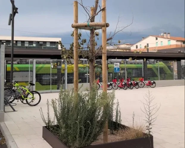 Piazza della Stazione, Cozzi (FI): "Piante senza irrigazione e nessuna videosorveglianza"