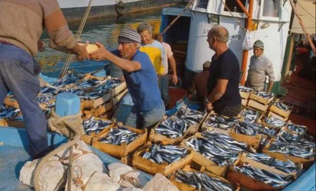 Fermo pesca nell'Adriatico da oggi al 29 settembre