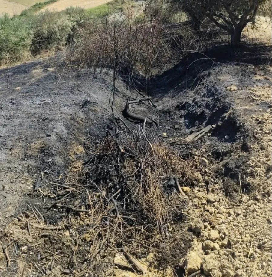 Incendi boschivi a Castiglione e a Pineto