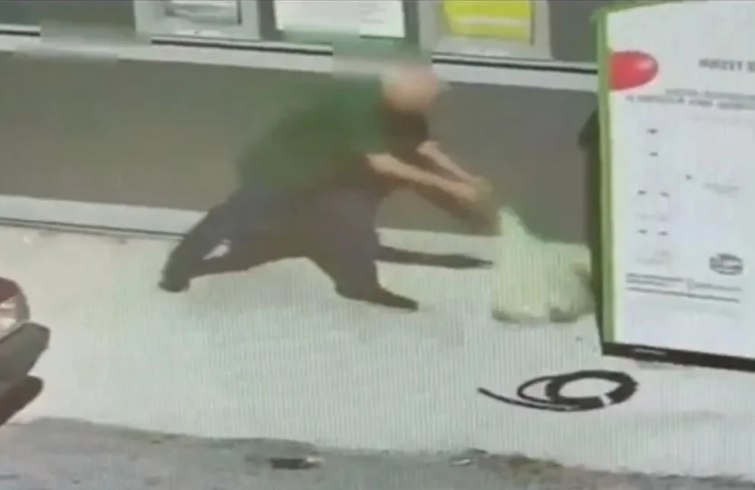 VIDEO | Abbandono abusivo dei rifiuti: 30.000 euro di sanzioni