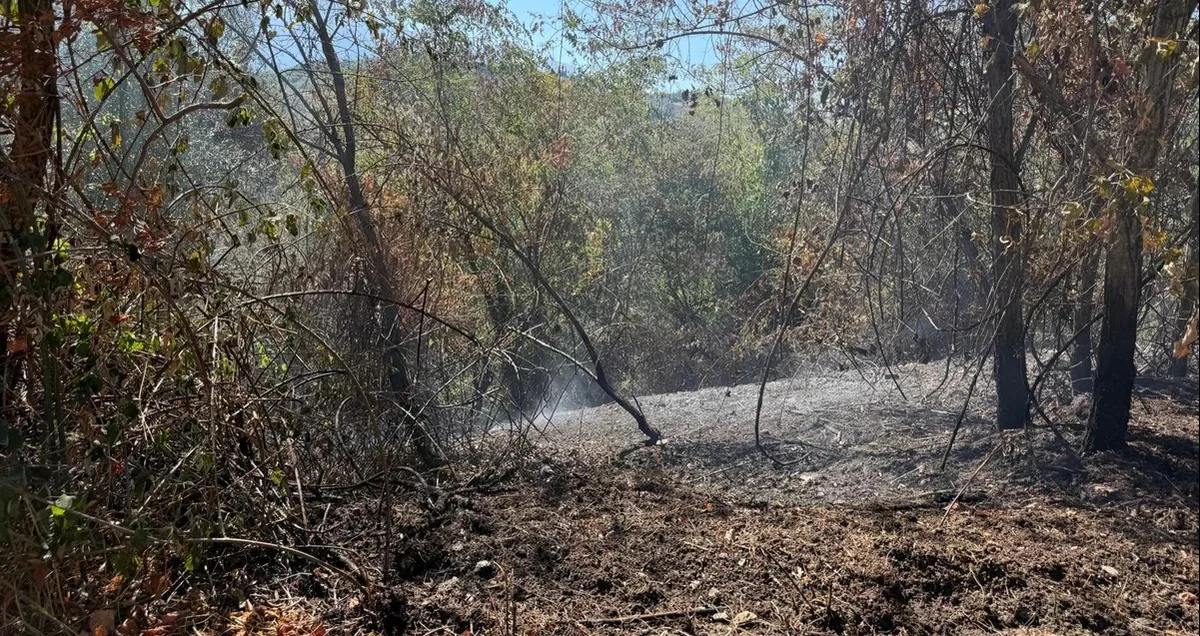 FOTO | Grosso incendio nei pressi di Miano
