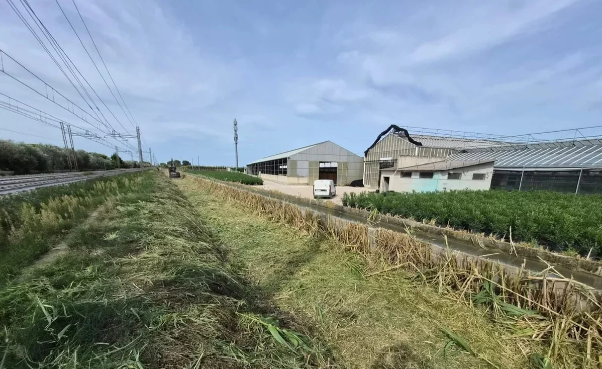 Martinsicuro, sfalcio sulla rete irrigua grazie al Consorzio di Bonifica Teramo Nord