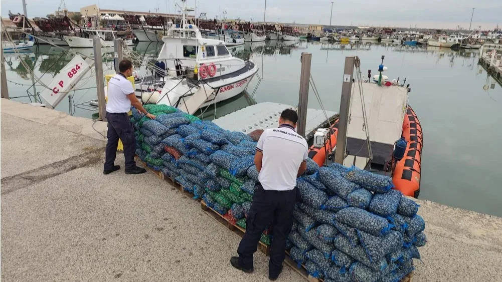 Maxi sequestro di vongole a Martinsicuro