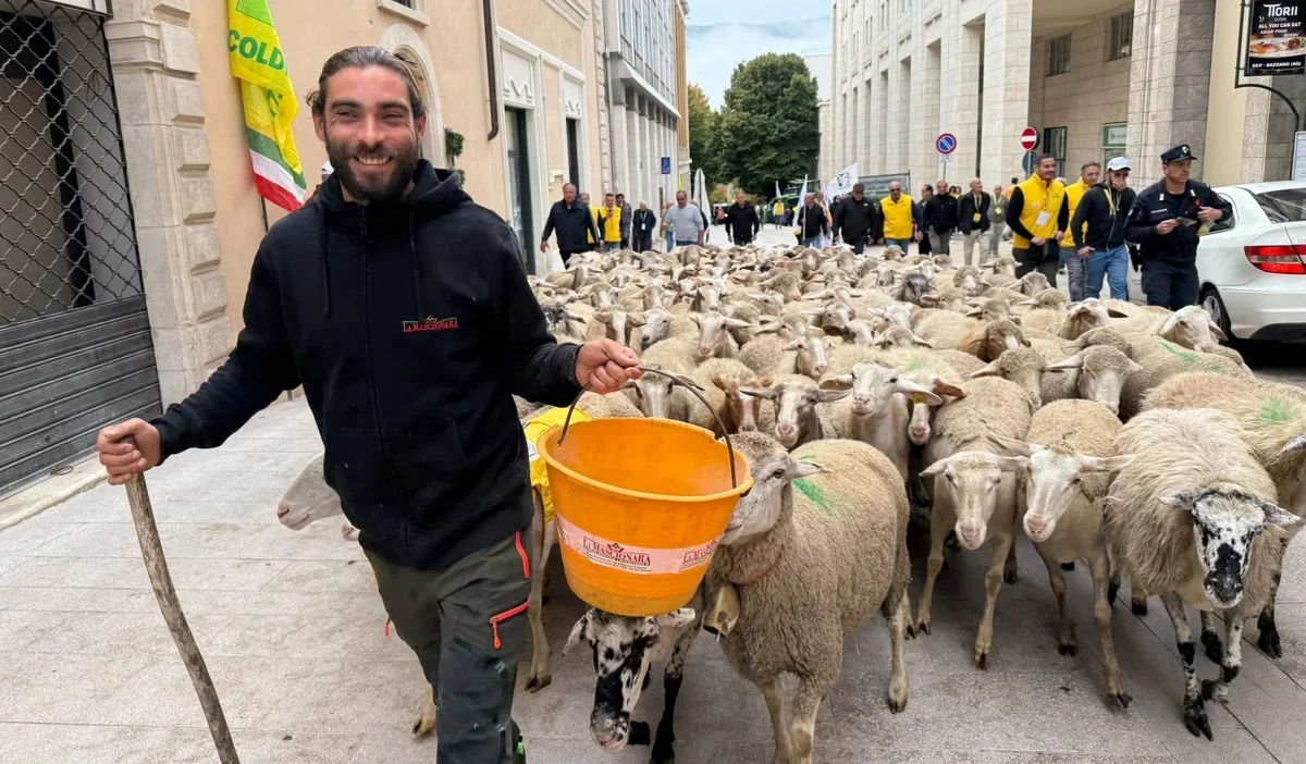 FOTO | Un gregge di pecore a L'Aquila, la transumanza apre il villaggio Coldiretti