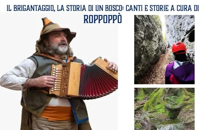 Passeggiando tra i faggi di Arsita: la storia del bosco e i briganti