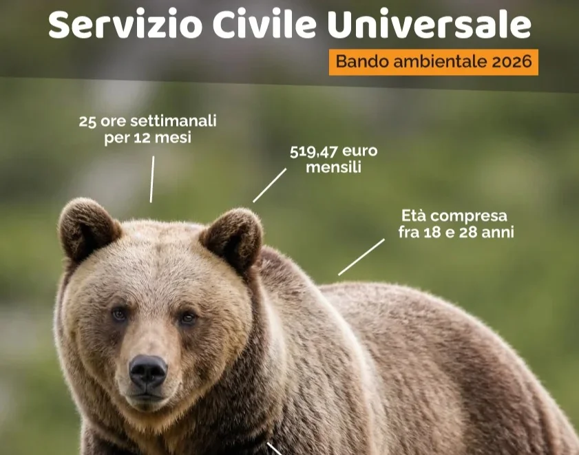 Servizio Civile Ambientale, 12 posti per 2 progetti del Csv