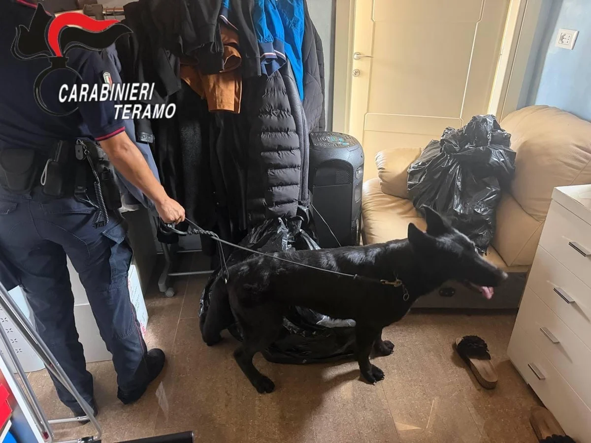 Cocaina in casa: arrestata a Giulianova coppia di pusher