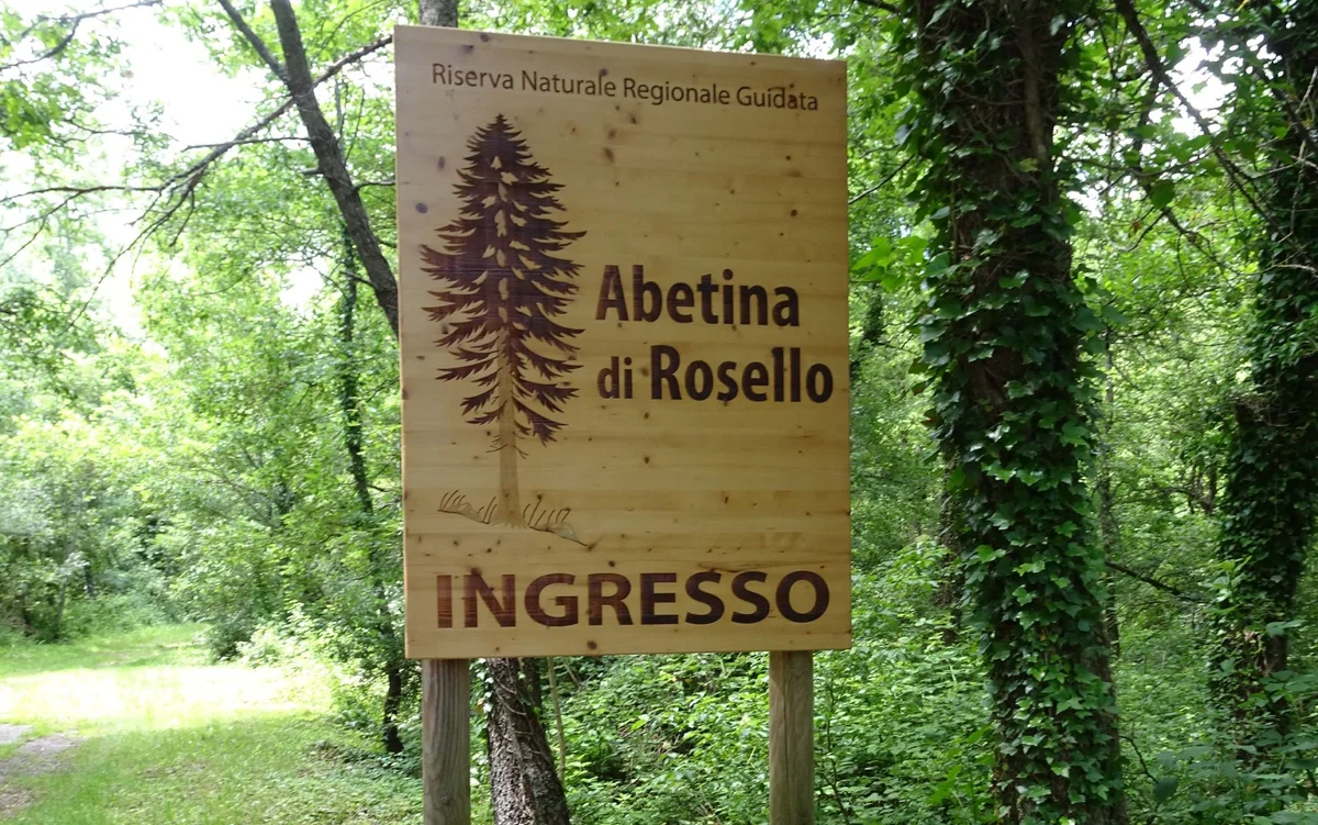 Nel chietino il bosco più vetusto d’Italia