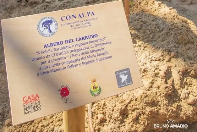 Rapporto di Impatto Territoriale: il Conalpa di Giulianova racconta la sua attività