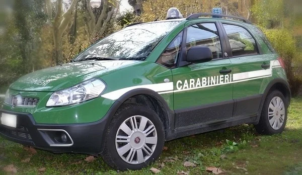 Campli, uccisi e macellati clandestinamente 41 agnelli