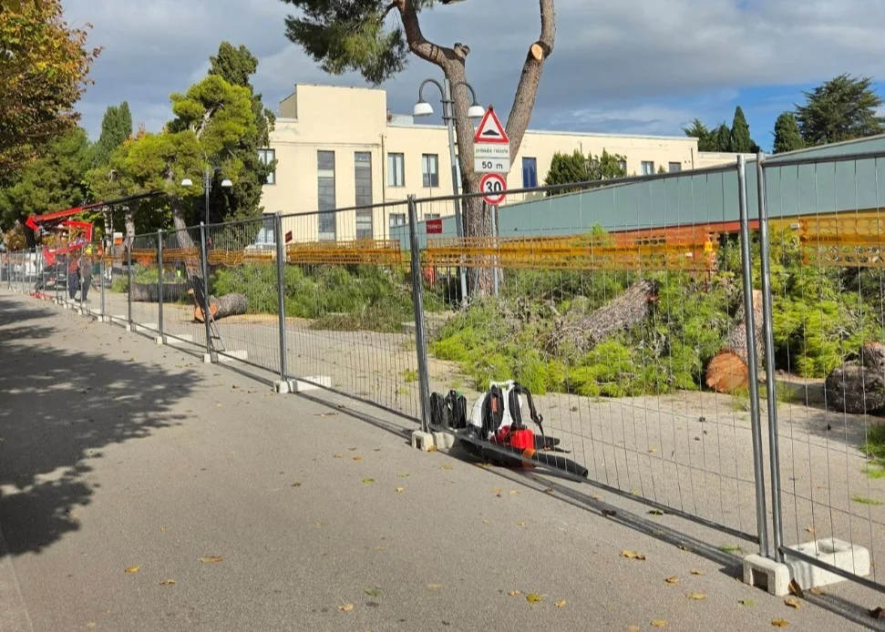 Nereto, ma era necessario abbattere quegli alberi?