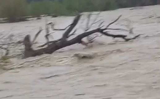 VIDEO | Maltempo, il Tordino è in piena