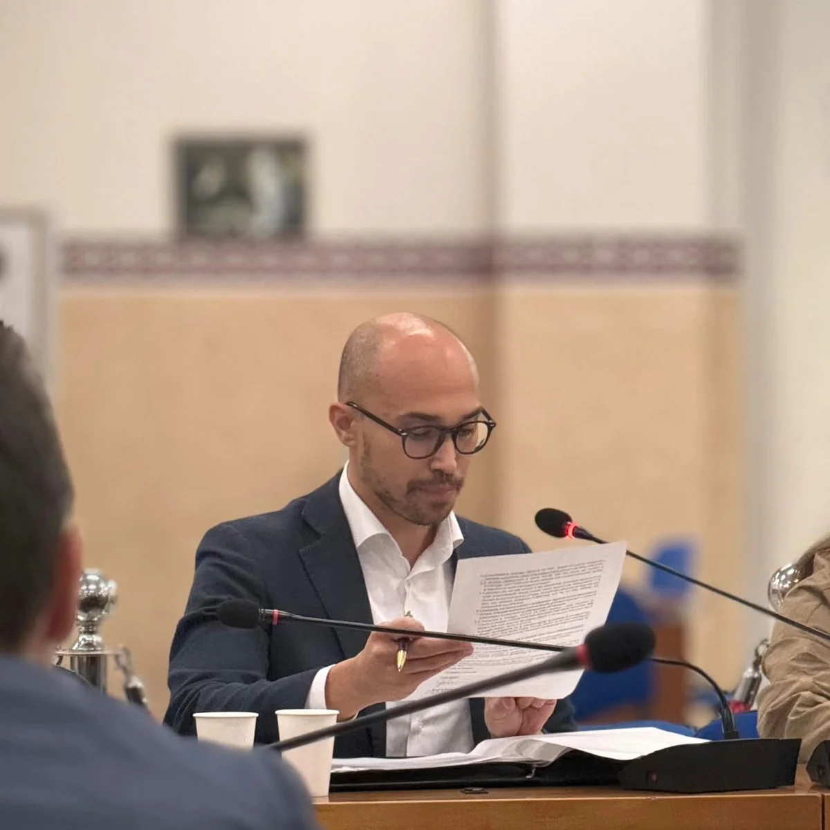 Pineto Riparte: approvata all’unanimità “Adotta un pino”, attenzione sull’affidamento del chiosco delle Ninfee