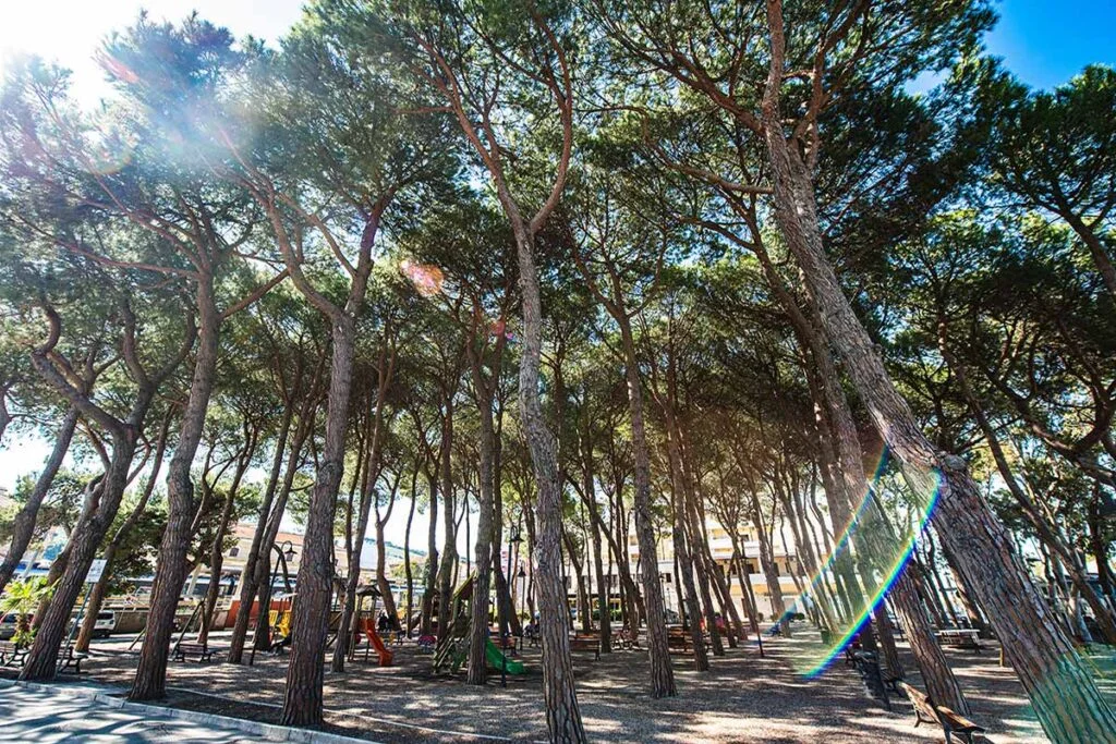 Pineta Celommi, inizia la fase dei mercatini estivi