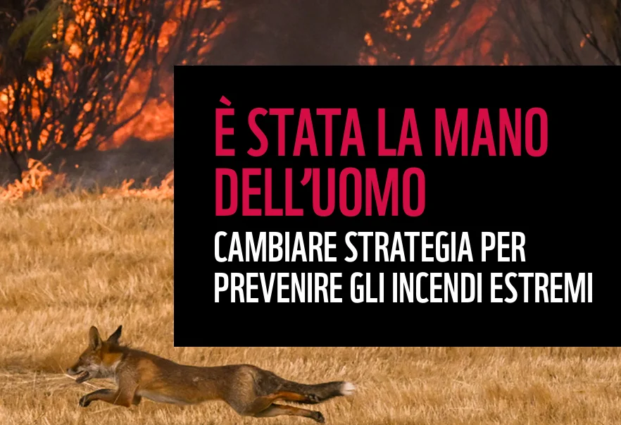 Incendi in Abruzzo, WWF: non basta spegnerli, serve prevenzione