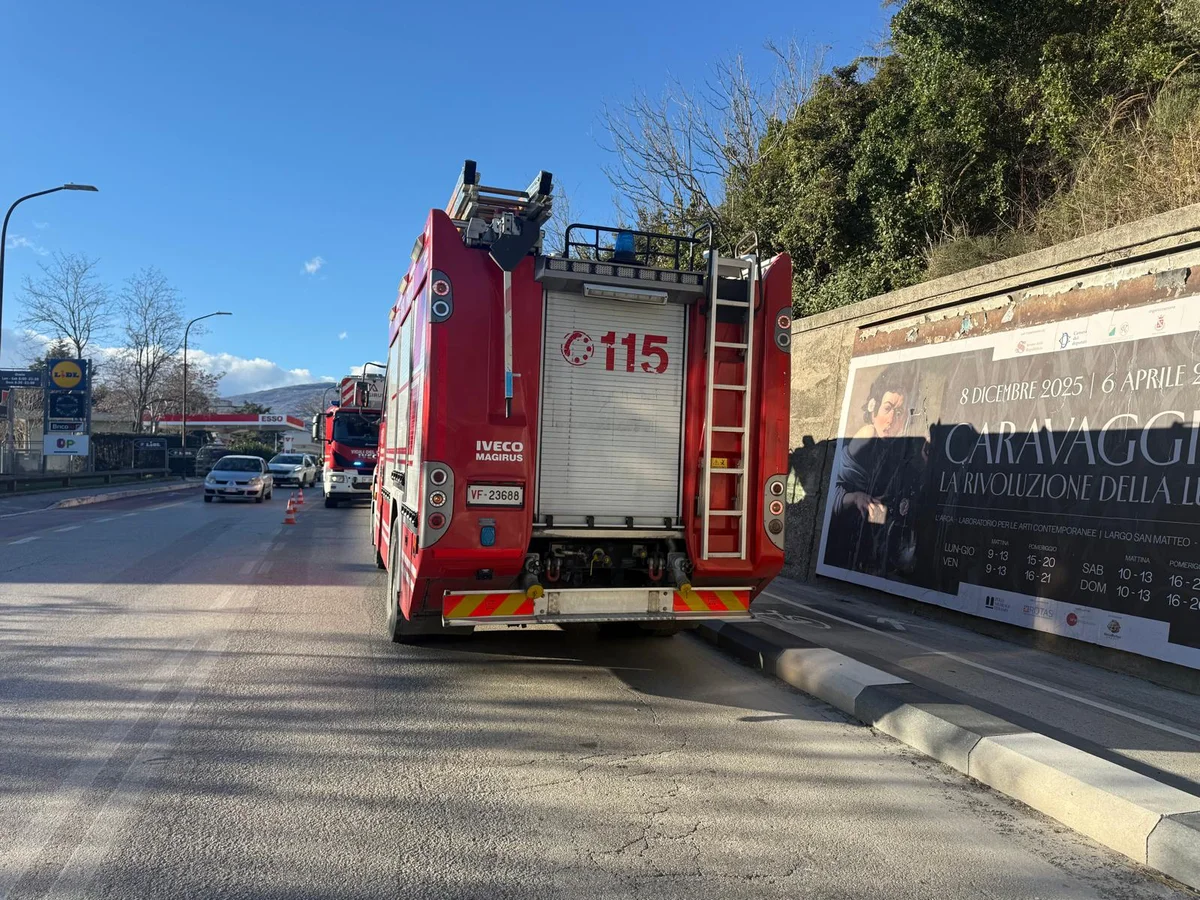 FOTO | Alberi caduti in viale De Gasperi