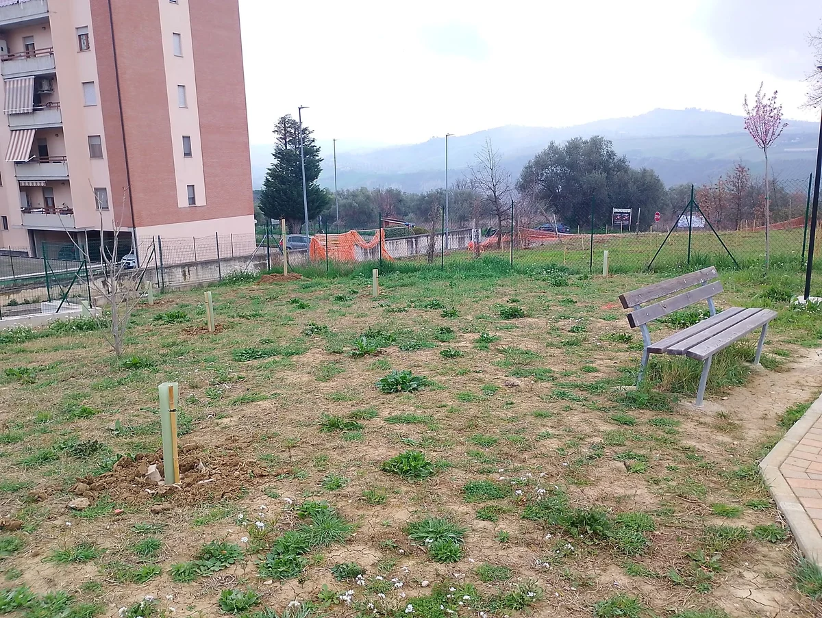 Vandali a Colleatterrato, sradicate 50 piantine del nuovo parco urbano