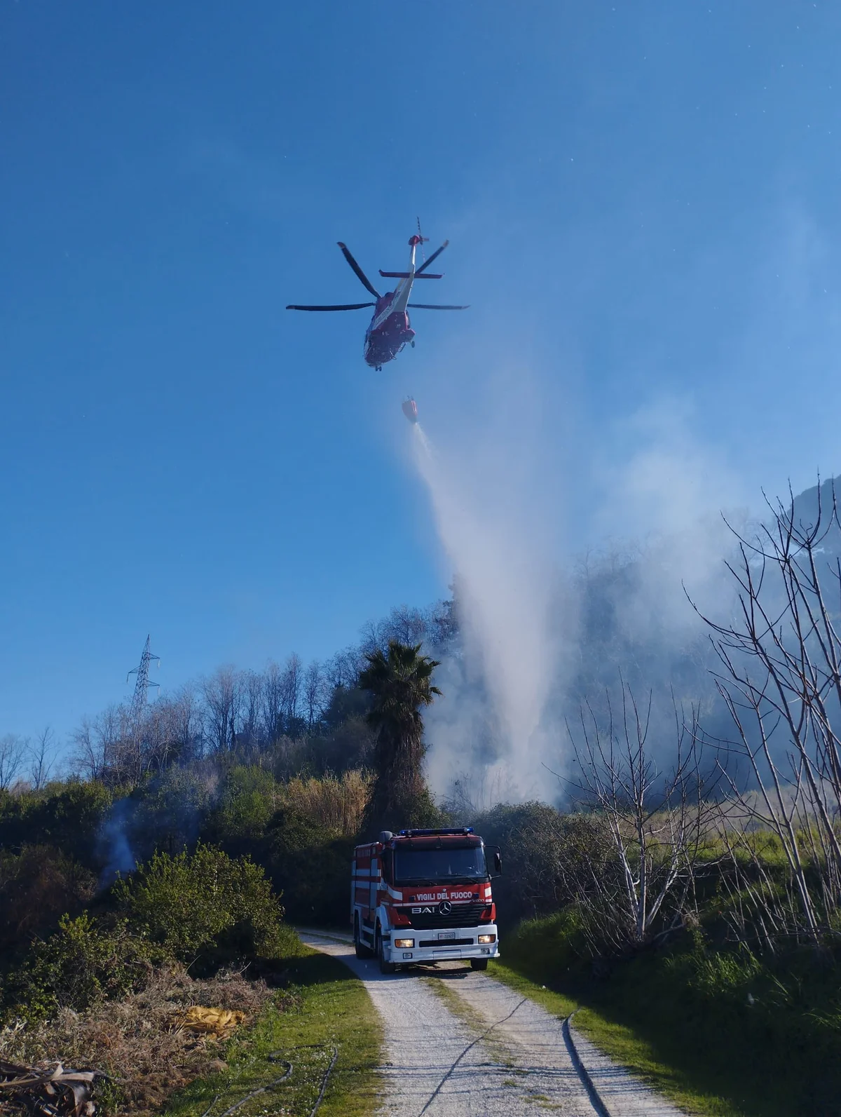 FOTO | Incendio lambisce abitazioni a Colonnella: pronto intervento dei Vigili del Fuoco