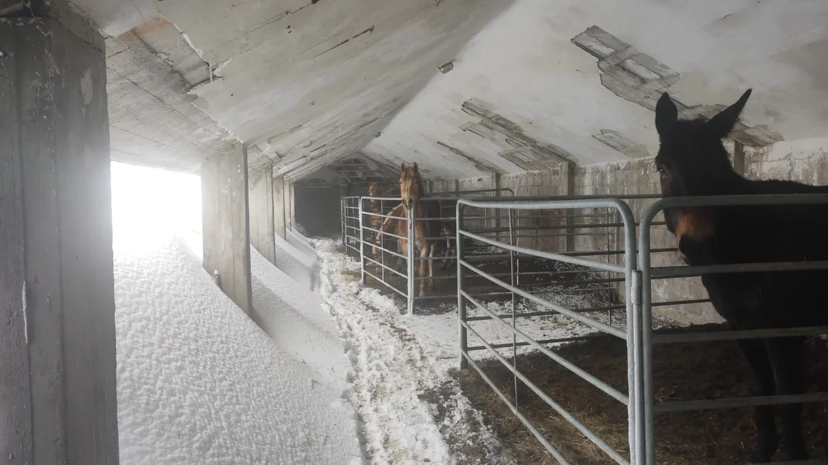 Maltempo, Abruzzo in ginocchio: chiesto stato di calamità