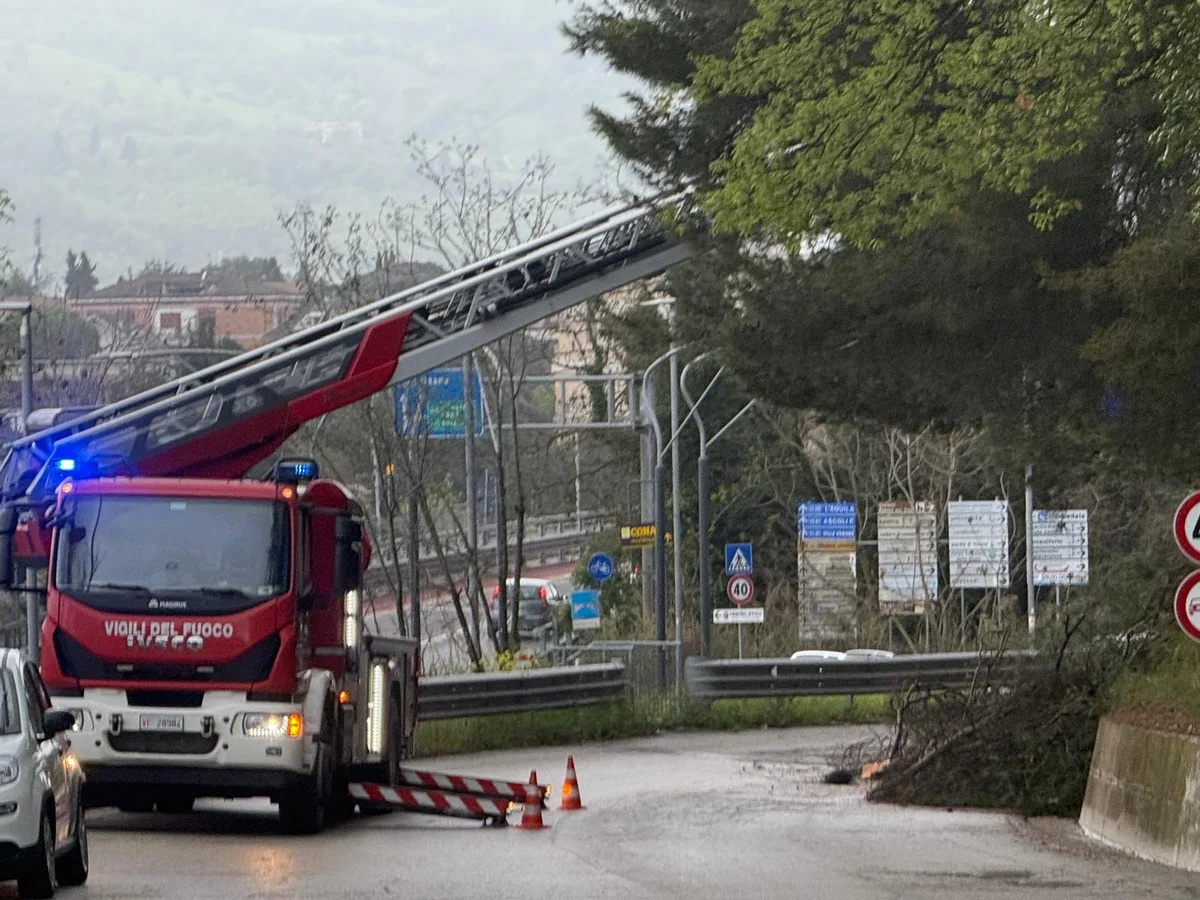 FOTO | Maltempo a Teramo, chiusa via Biondi per caduta alberi