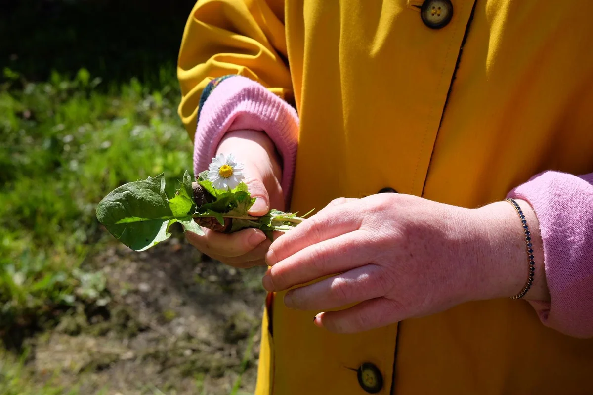 Al via il progetto “Accesso alle terre alte, percorsi creativi di connessione territoriale"