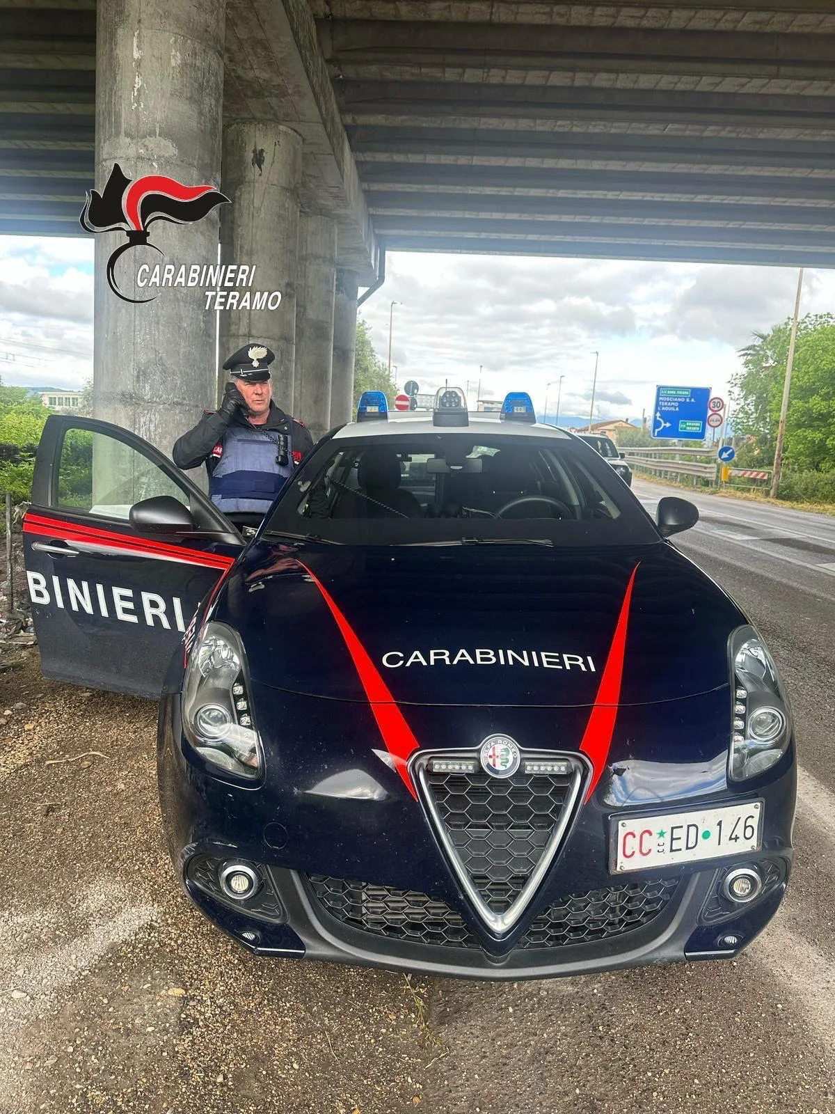 Scaraventa un pitbull contro il parabrezza di un'auto: denunciato giuliese