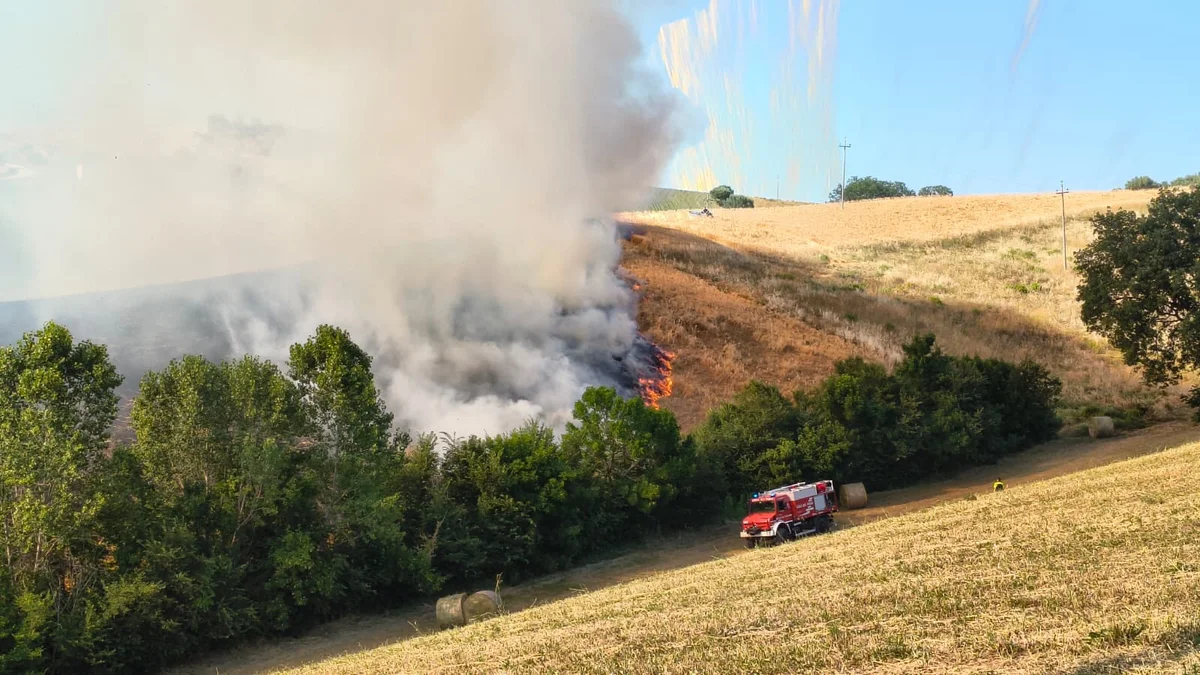 FOTO e VIDEO | Incendio in un campo fotovoltaico a Bellante