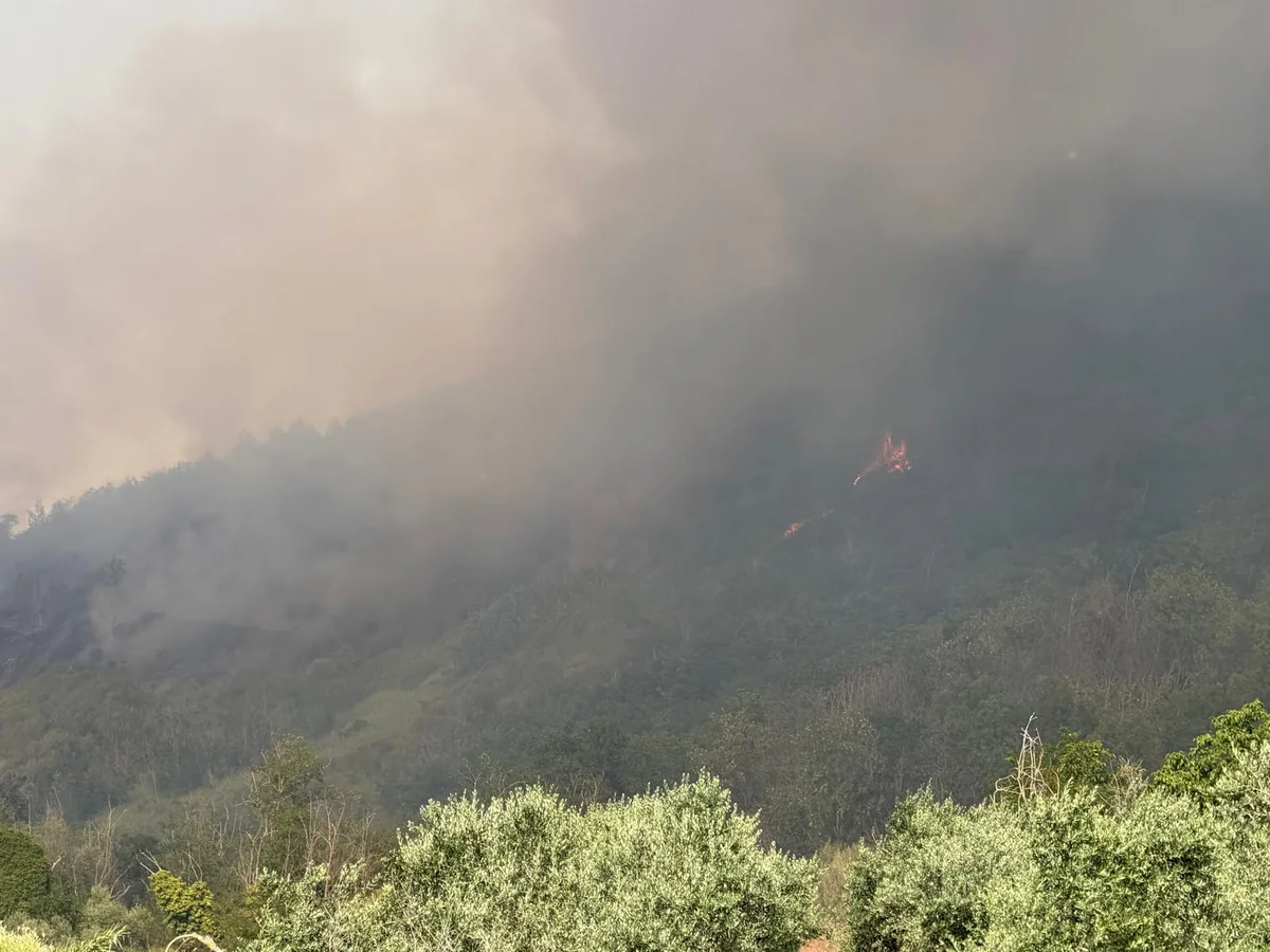 FOTO e VIDEO| Incendio alle porte di Teramo: brucia collina sopra contrada Fiumicino
