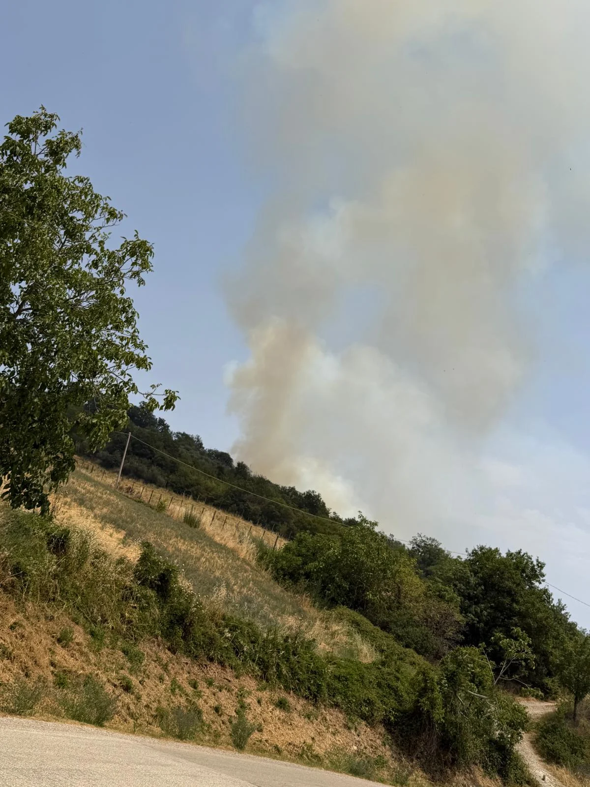 FOTO | Incendio di vegetazione e sterpaglie a Villa Ripa