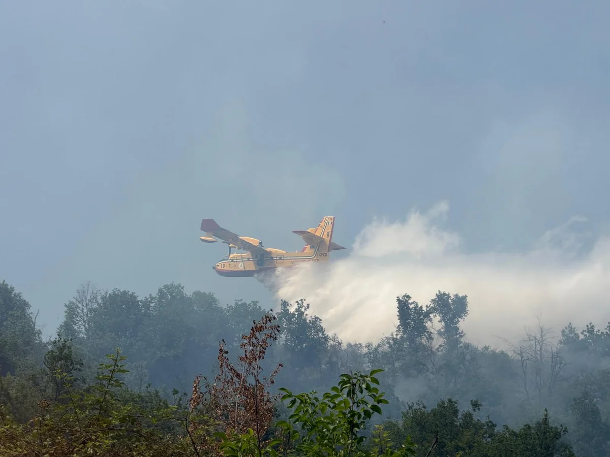 FOTO | Incendio Villa Ripa, mezzi aerei in azione: rogo sotto controllo
