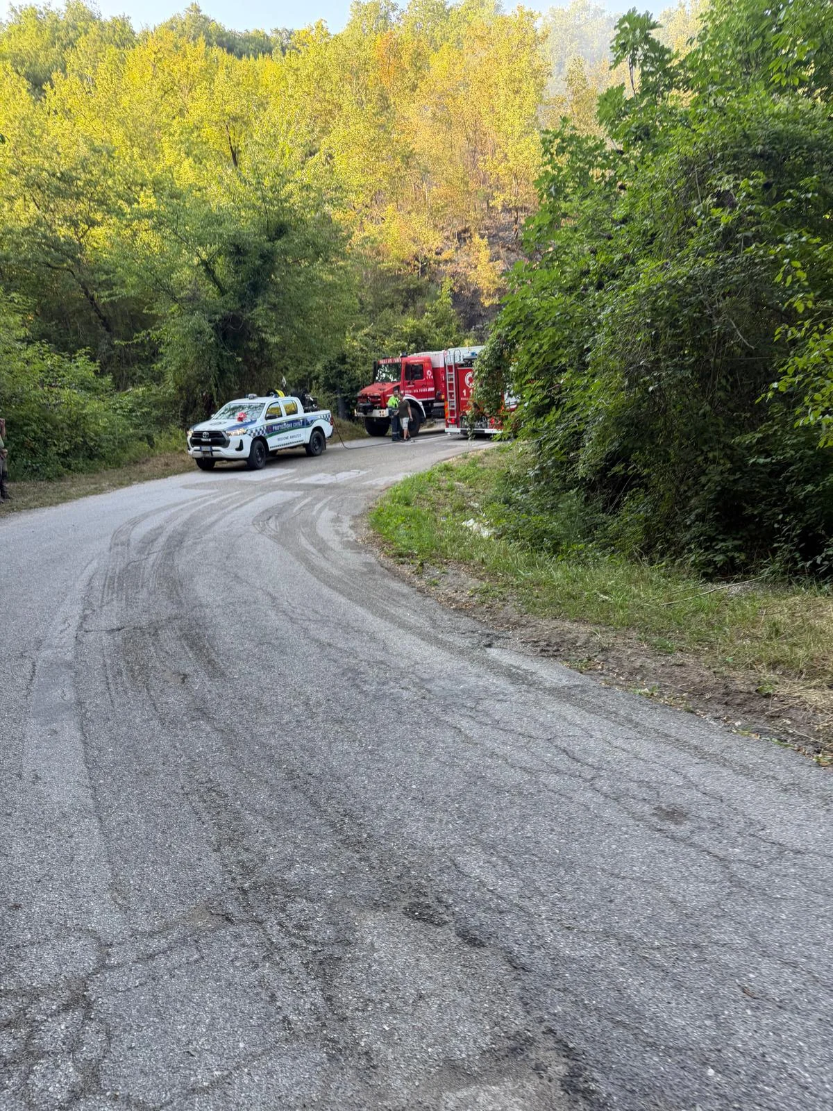 Teramo, incendio di bosco a Magnanella