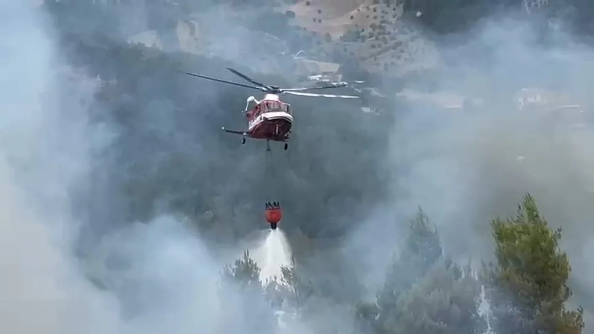 Vasto incendio di vegetazione a Penna Sant'Andrea