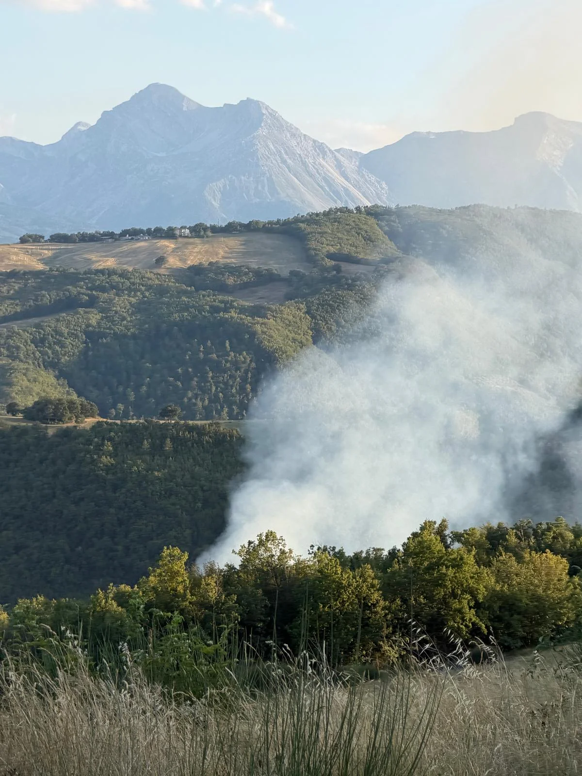 FOTO | Teramo, vasto incendio a Valle San Giovanni