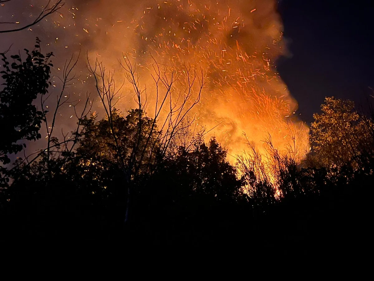 VIDEO e FOTO | Vasto incendio a Sparazzano di Miano
